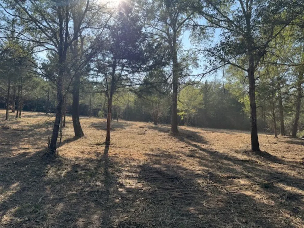 Sweed Road Washington, TX 77880