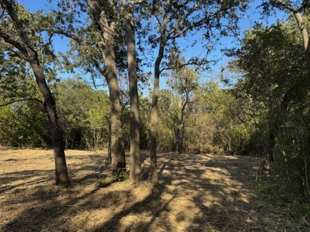 Sweed Road Washington, TX 77880