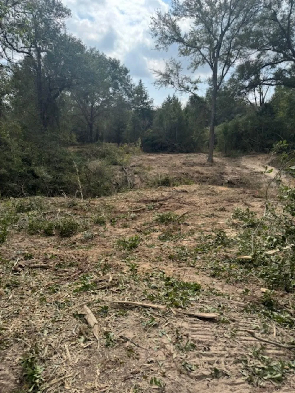 Sweed Road Washington, TX 77880