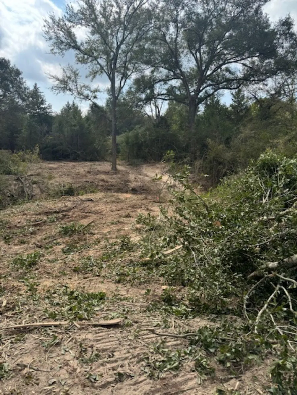 Sweed Road Washington, TX 77880