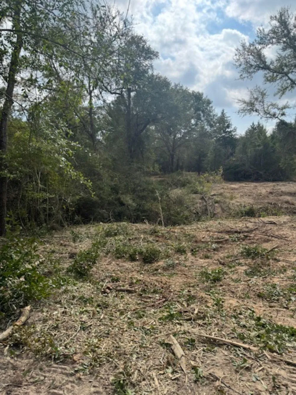 Sweed Road Washington, TX 77880