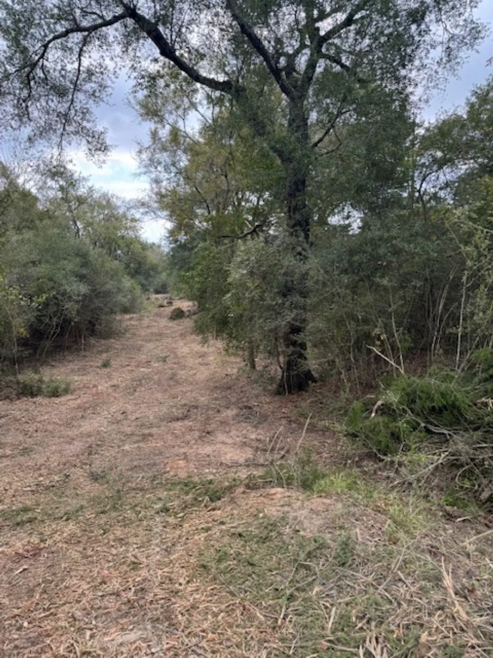 Sweed Road Washington, TX 77880