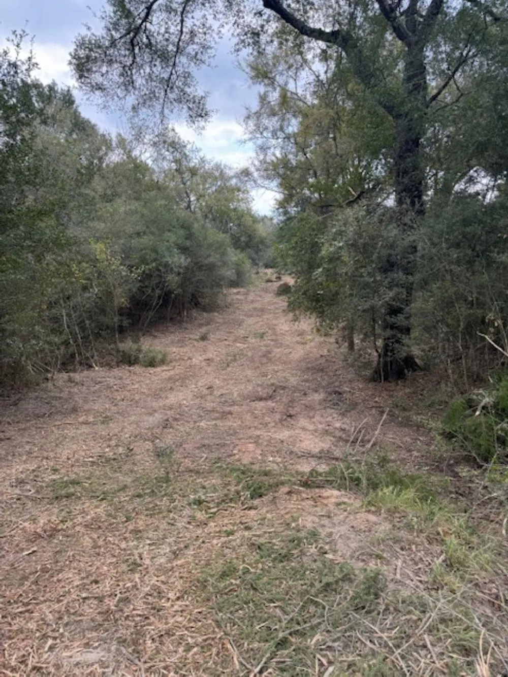 Sweed Road Washington, TX 77880