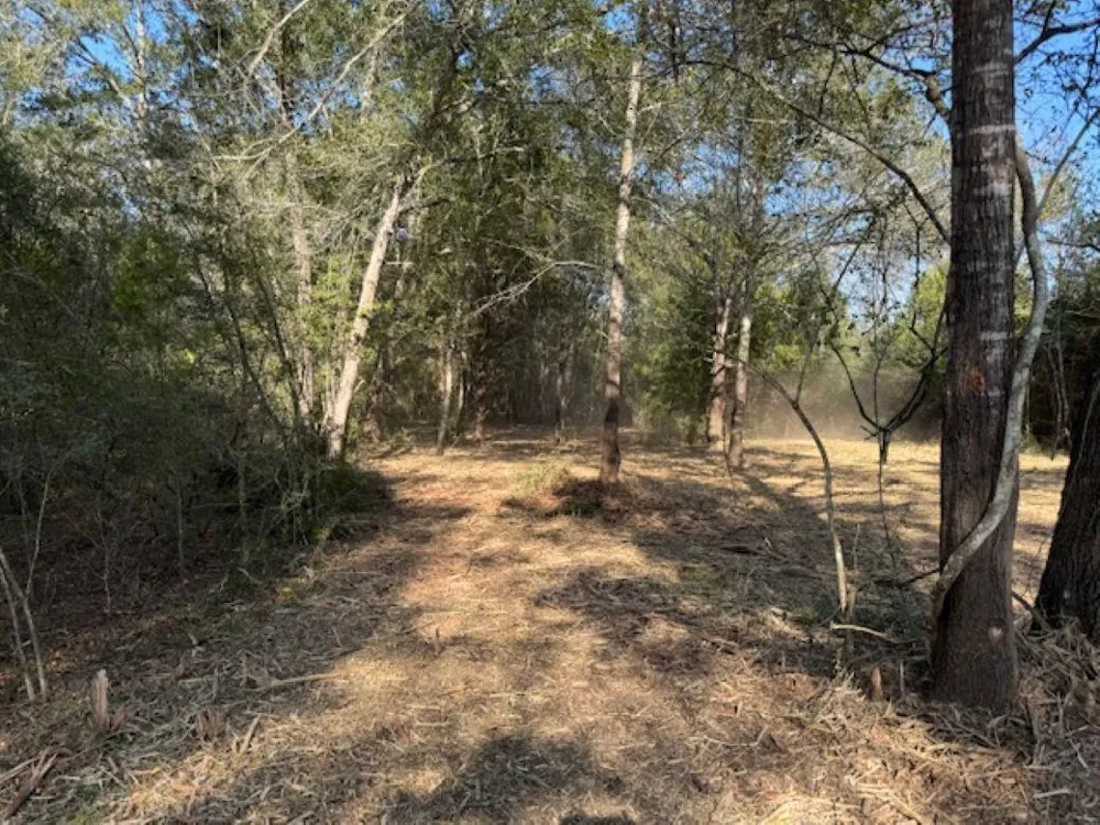 Sweed Road Washington, TX 77880