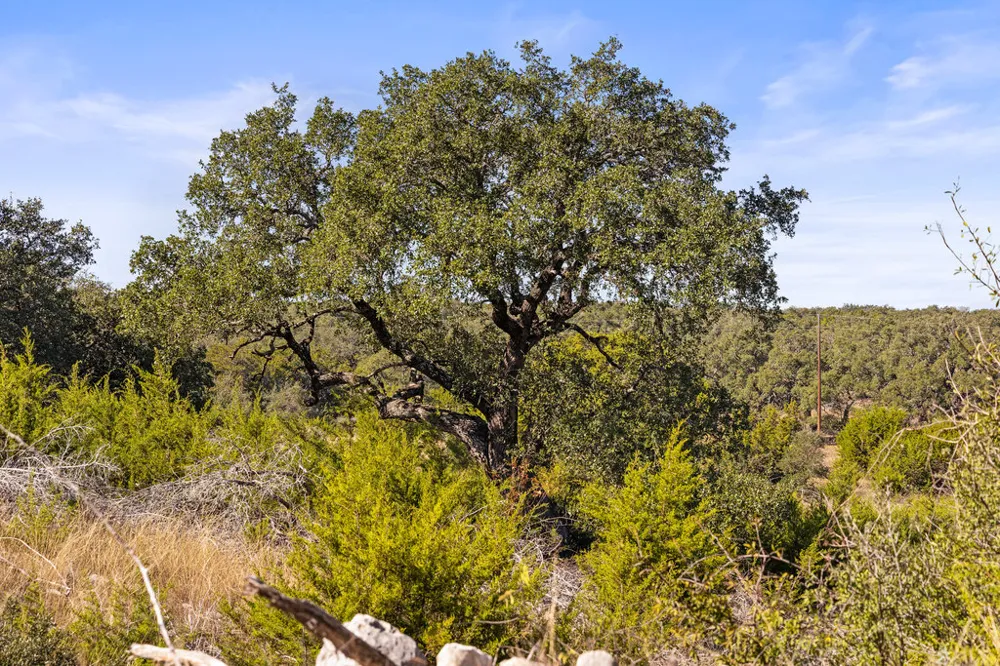 Lyda Ranch Road Bertram, TX 78605