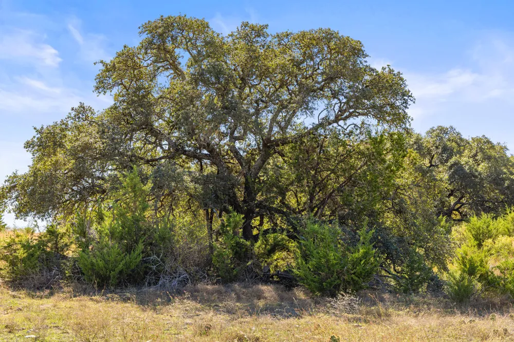 Lyda Ranch Road Bertram, TX 78605