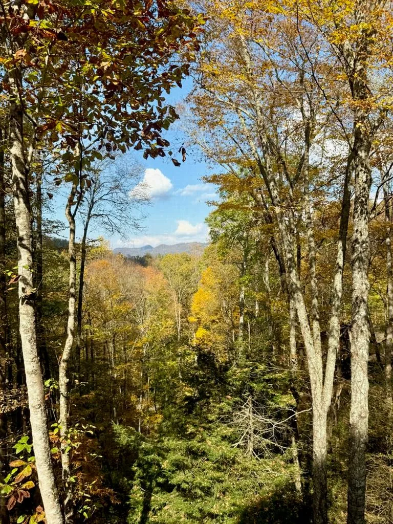 Mossycup Court Tuckasegee, NC 28783
