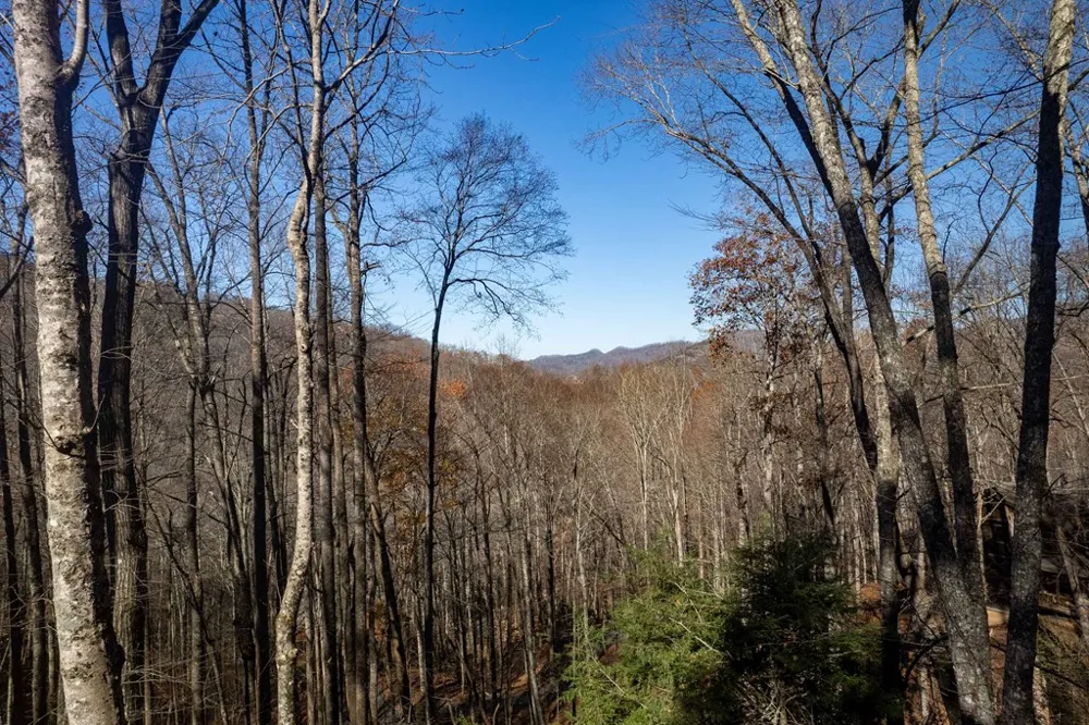 Mossycup Court Tuckasegee, NC 28783