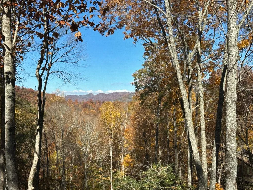 Mossycup Court Tuckasegee, NC 28783