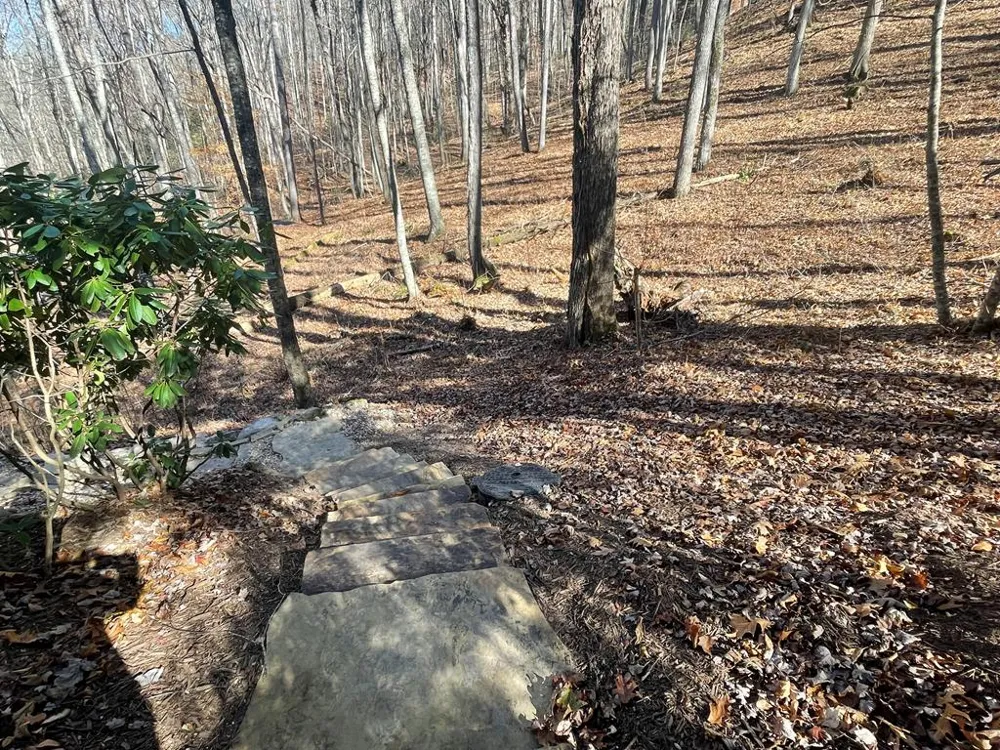 Mossycup Court Tuckasegee, NC 28783