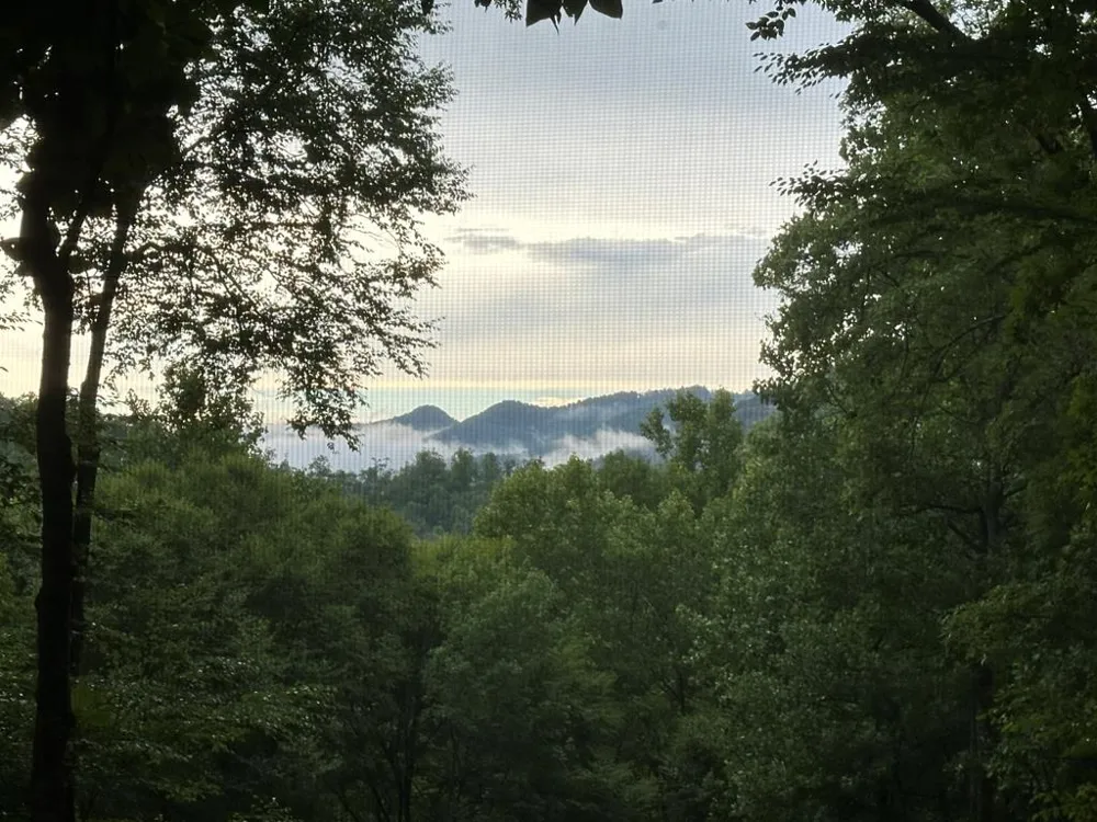 Mossycup Court Tuckasegee, NC 28783