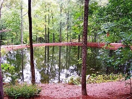 Mossycup Court Tuckasegee, NC 28783