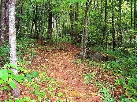 Mossycup Court Tuckasegee, NC 28783