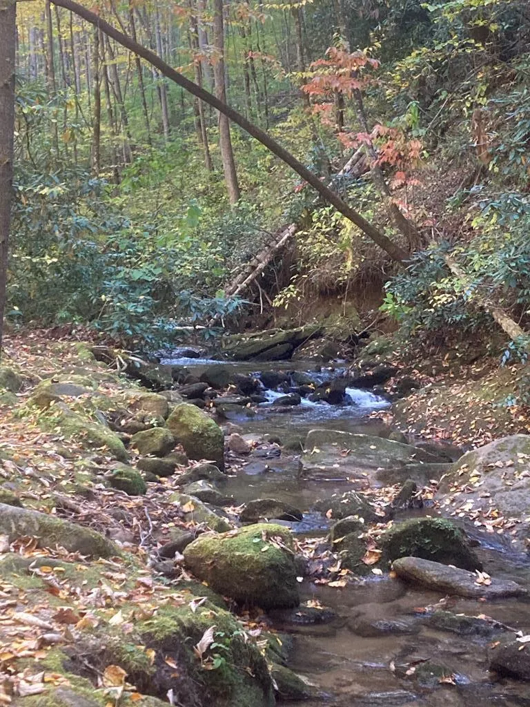 Mossycup Court Tuckasegee, NC 28783