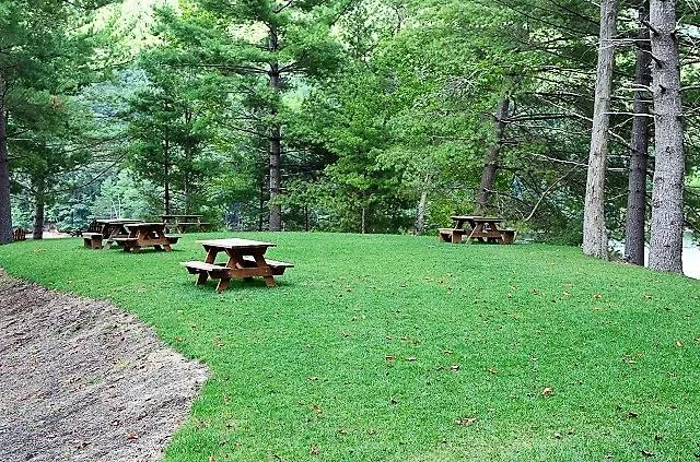 Mossycup Court Tuckasegee, NC 28783