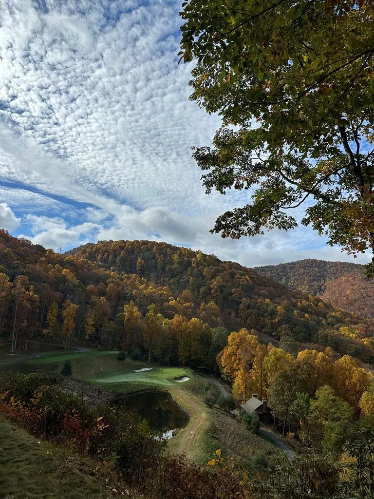 Mossycup Court Tuckasegee, NC 28783