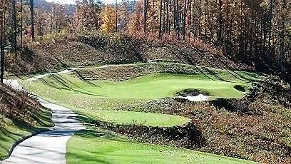 Mossycup Court Tuckasegee, NC 28783