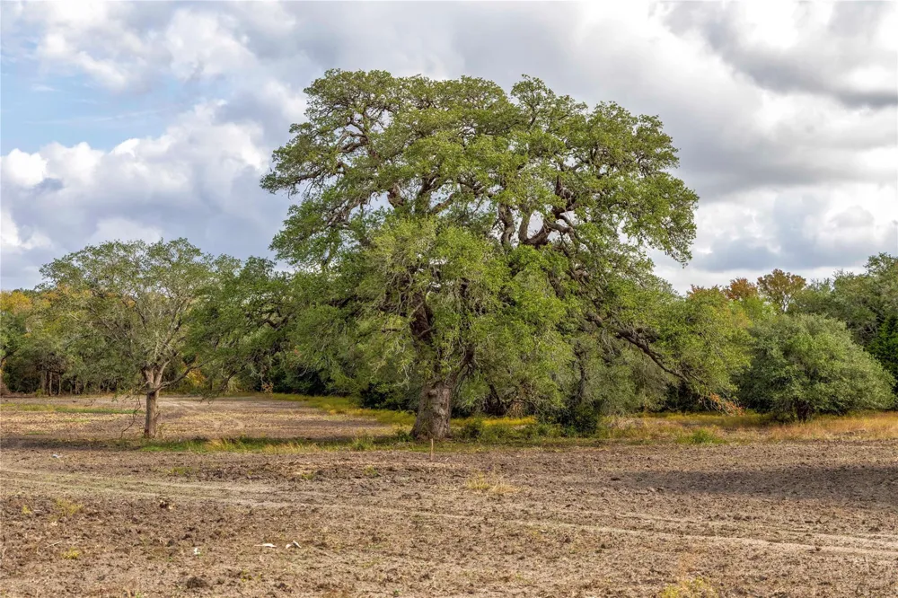 1250 Ladewig Lane Flatonia, TX 78956