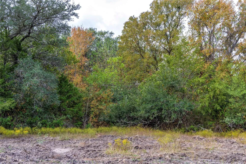 1250 Ladewig Lane Flatonia, TX 78956