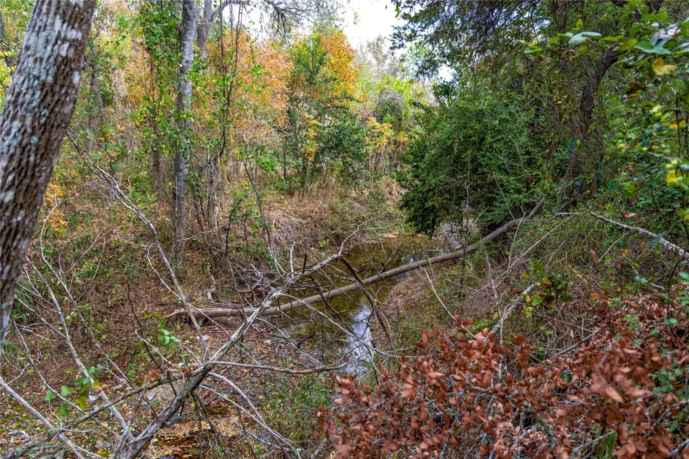 1250 Ladewig Lane Flatonia, TX 78956