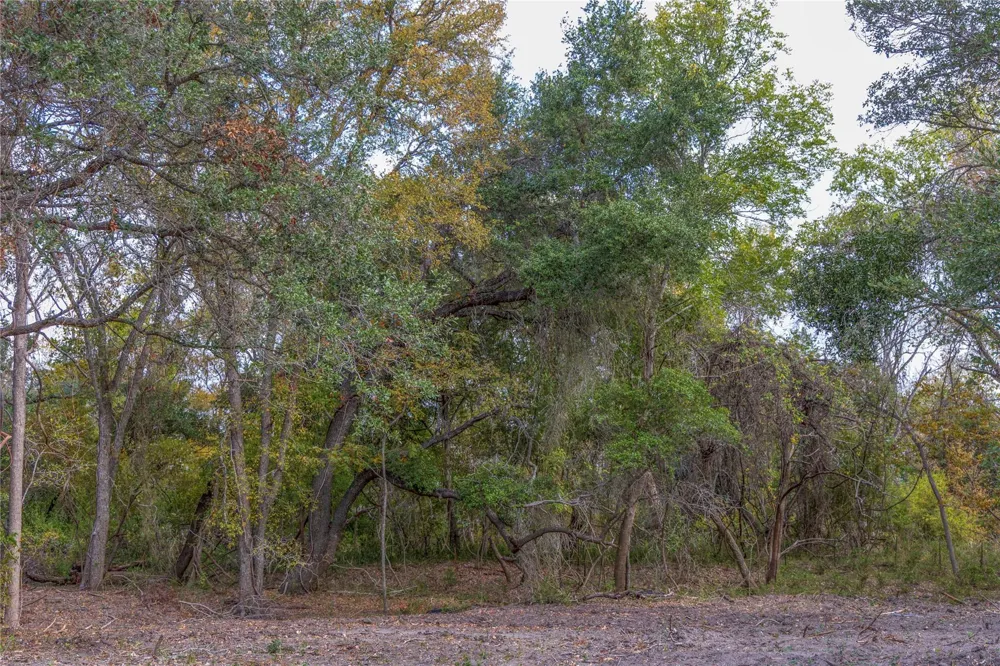1250 Ladewig Lane Flatonia, TX 78956