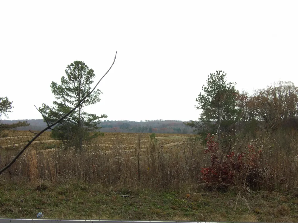 19 Summercity Road Evensville, TN 37332