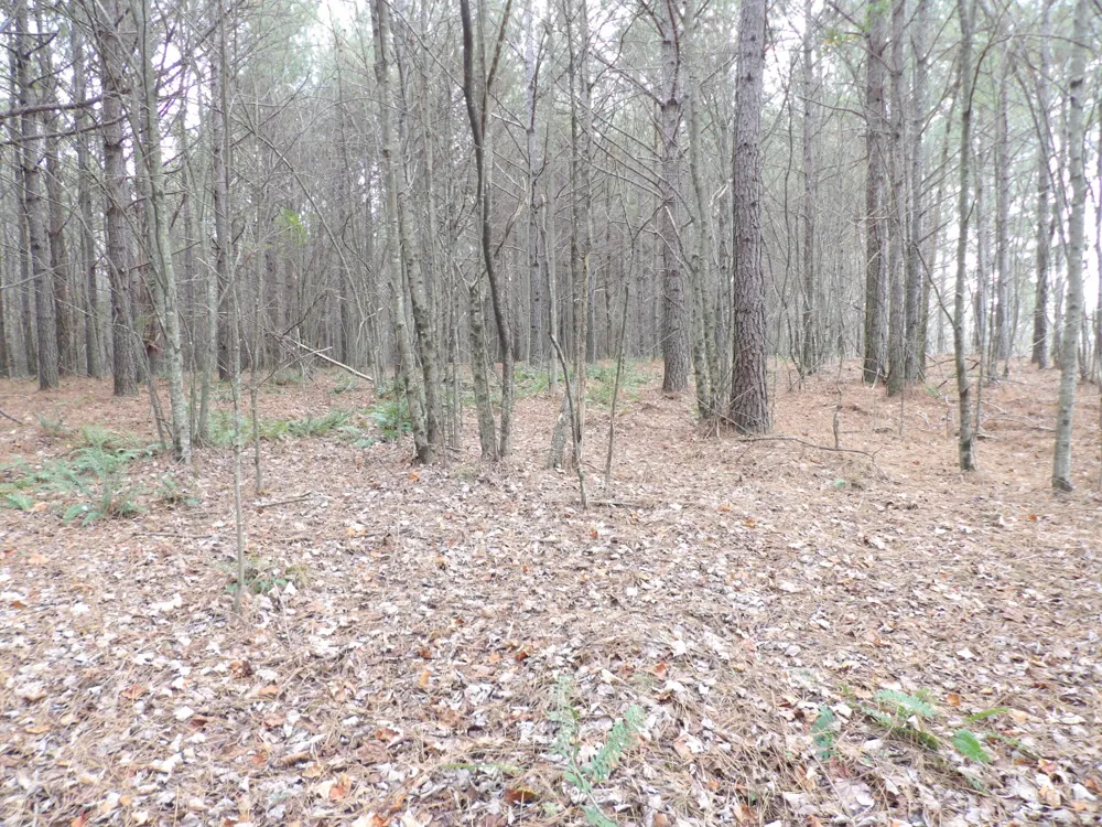 19 Summercity Road Evensville, TN 37332