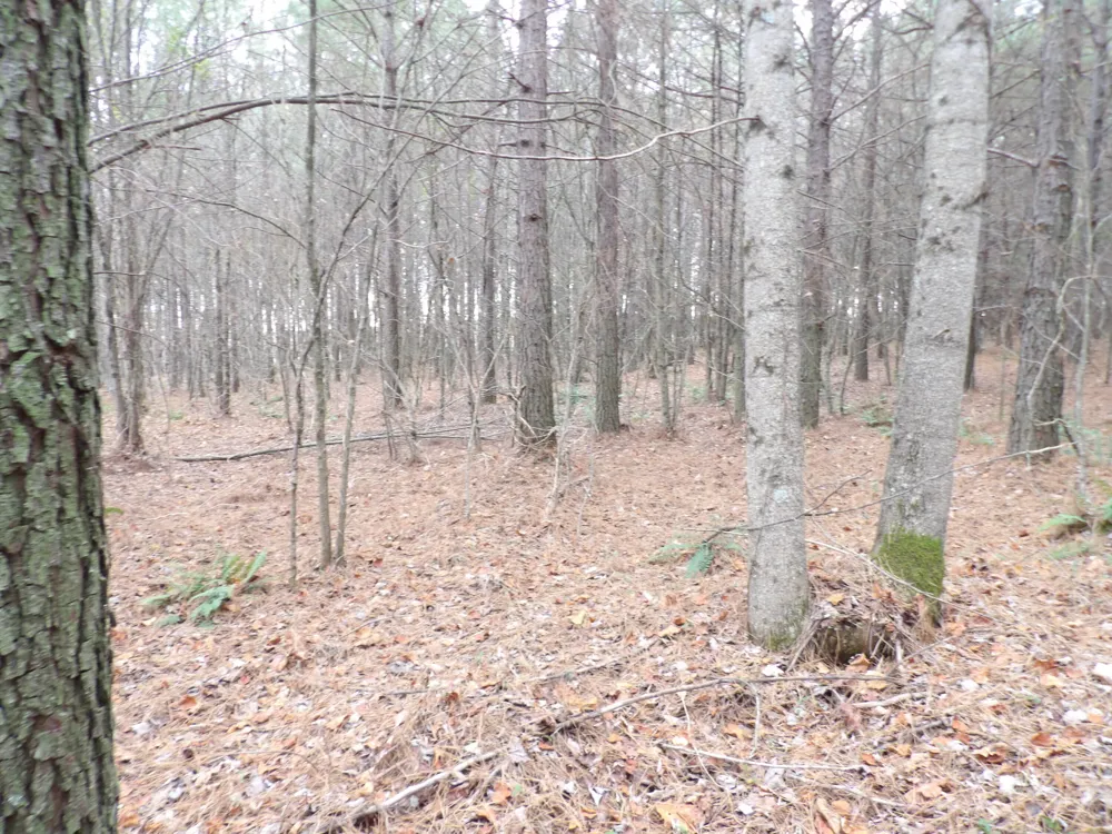 19 Summercity Road Evensville, TN 37332