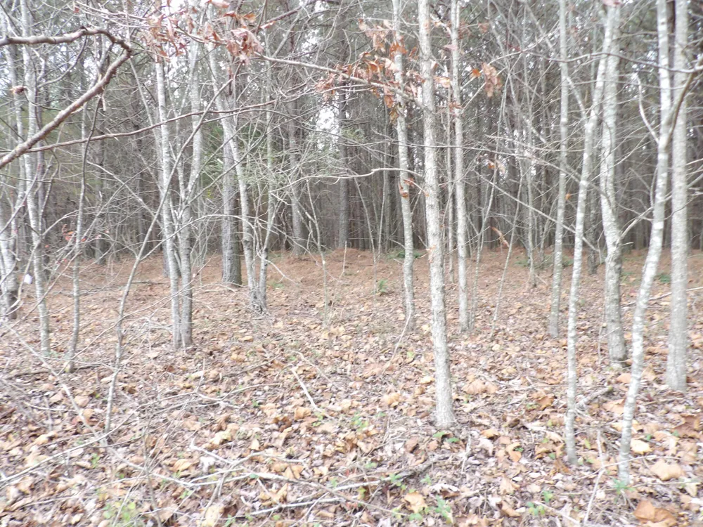19 Summercity Road Evensville, TN 37332