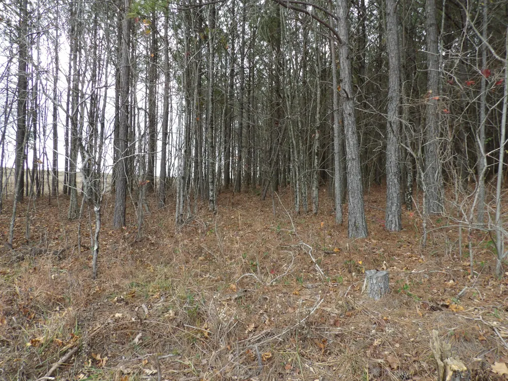20 Summercity Road Evensville, TN 37332