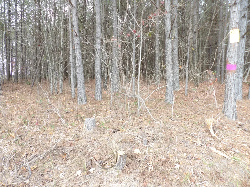 20 Summercity Road Evensville, TN 37332