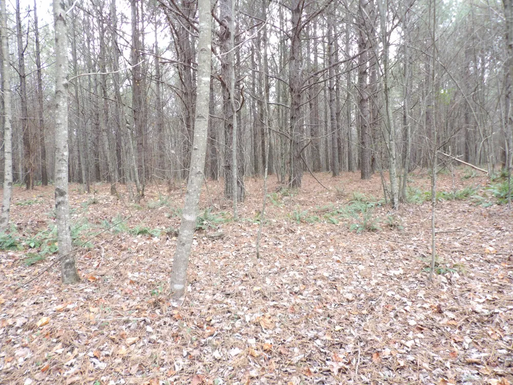20 Summercity Road Evensville, TN 37332