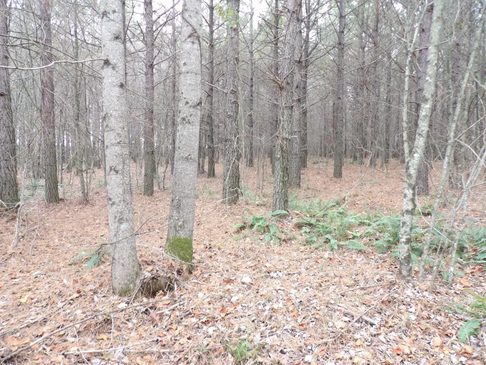 20 Summercity Road Evensville, TN 37332