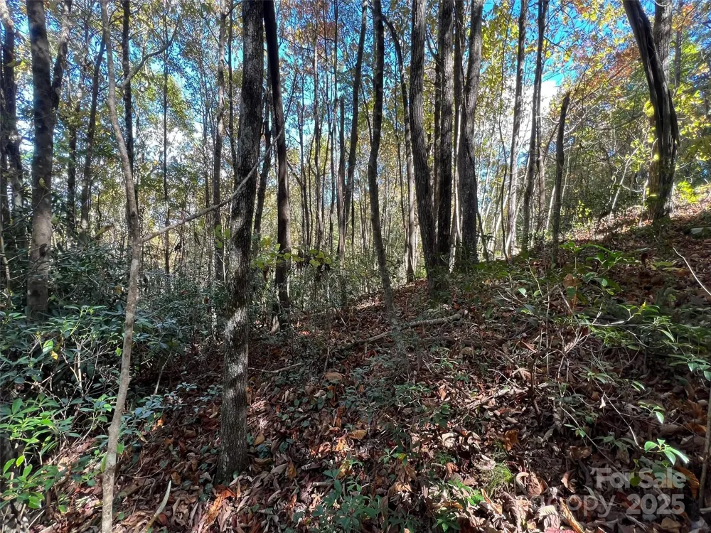 0 Wild Magnolia Way #46 Zirconia, NC 28790