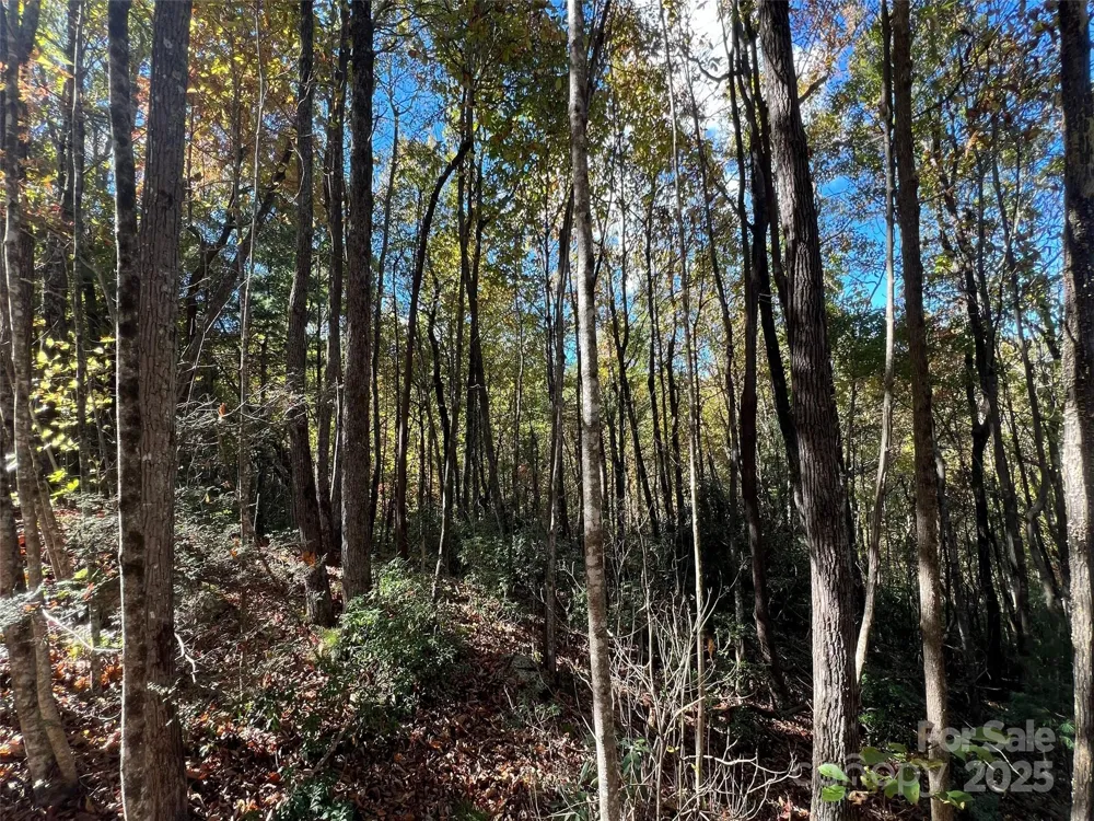 0 Wild Magnolia Way #46 Zirconia, NC 28790