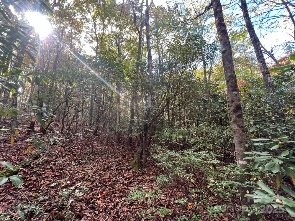 0 Wild Magnolia Way #46 Zirconia, NC 28790