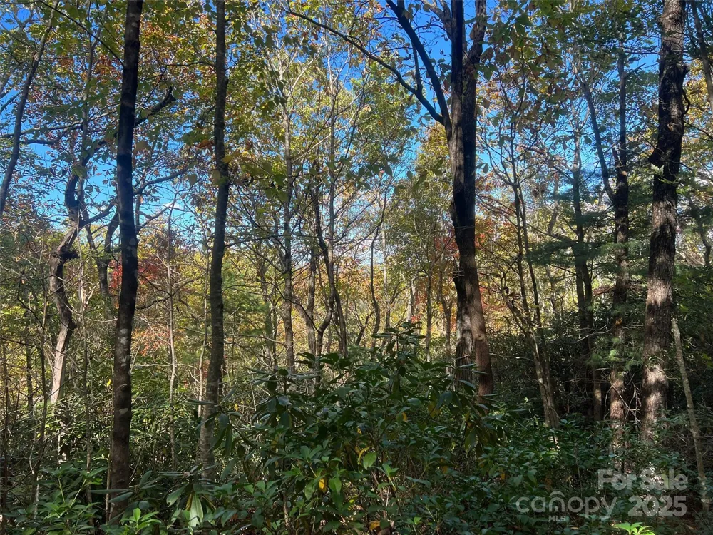 0 Wild Magnolia Way #46 Zirconia, NC 28790
