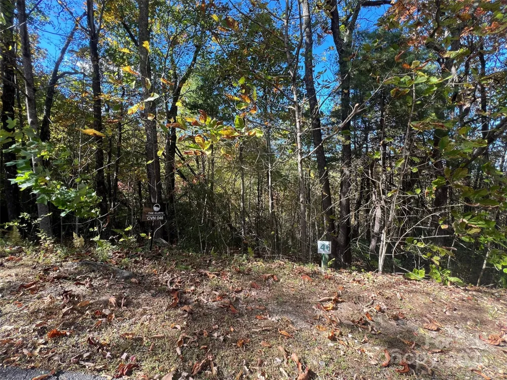 0 Wild Magnolia Way #46 Zirconia, NC 28790