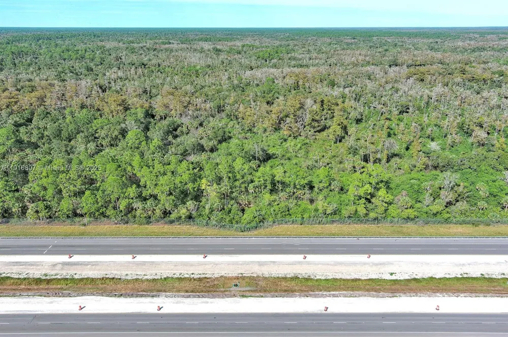 Alligator Alley Naples, FL 34117
