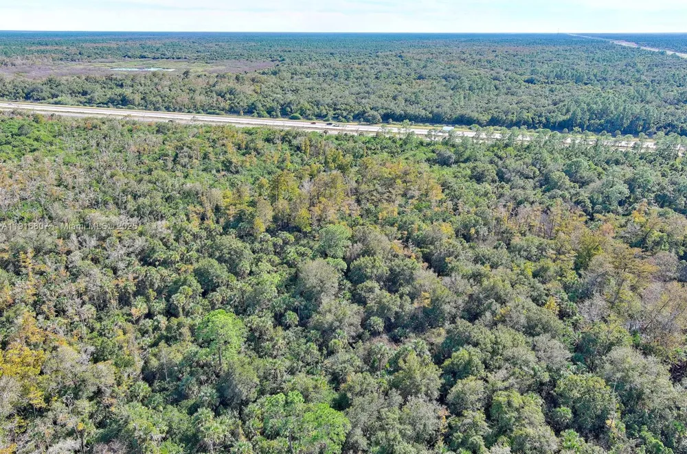 Alligator Alley Naples, FL 34117