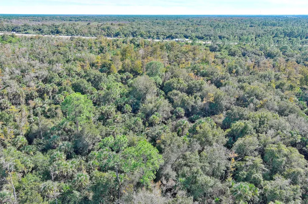 Alligator Alley Naples, FL 34117