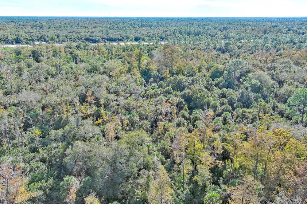 Alligator Alley Naples, FL 34117