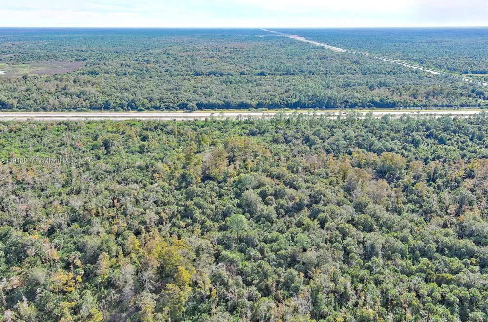 Alligator Alley Naples, FL 34117