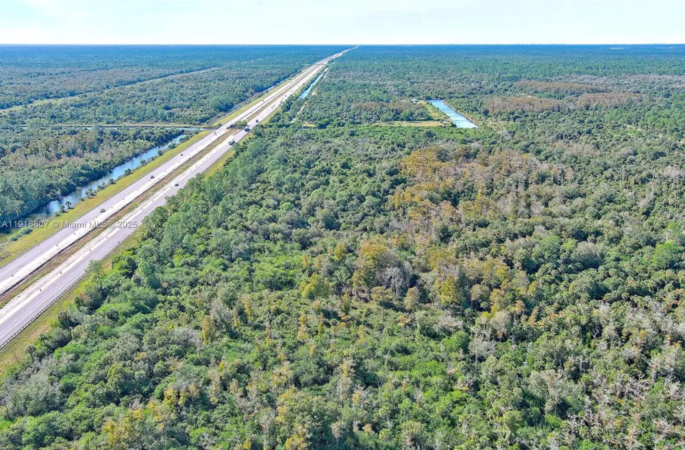Alligator Alley Naples, FL 34117