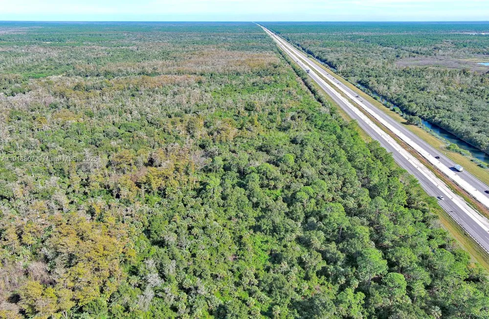 Alligator Alley Naples, FL 34117