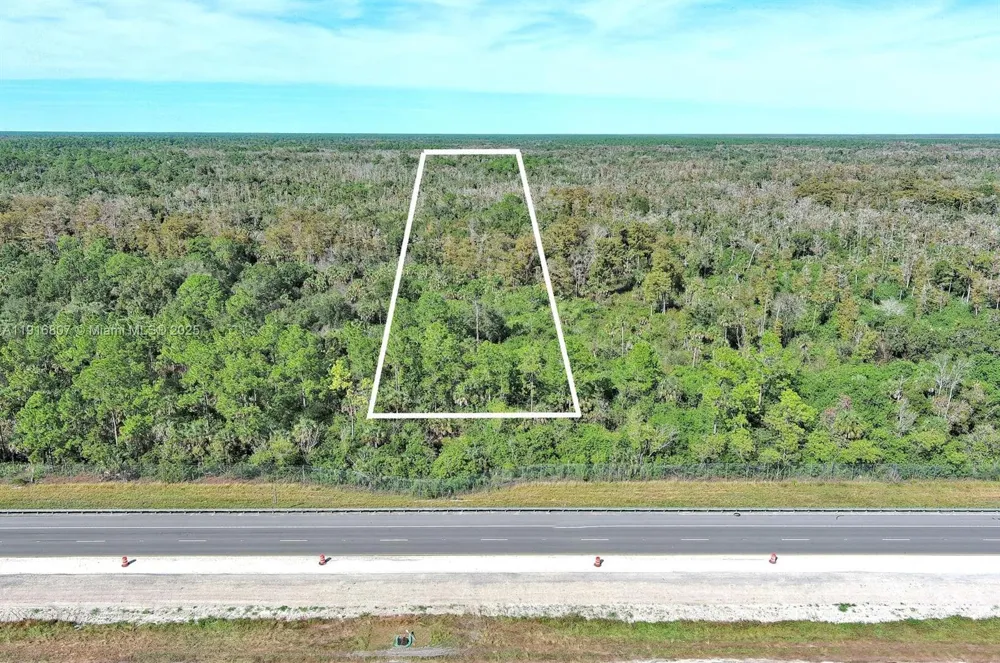 Alligator Alley Naples, FL 34117