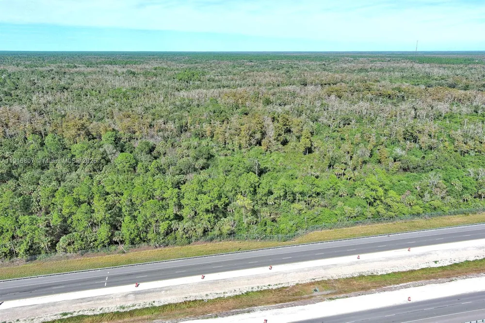 Alligator Alley Naples, FL 34117
