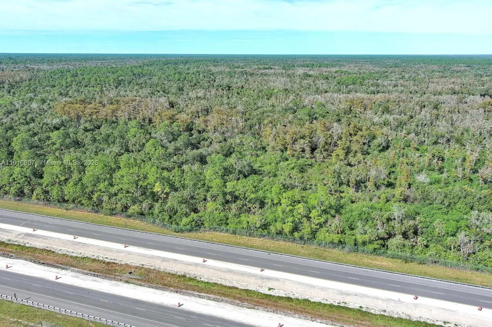 Alligator Alley Naples, FL 34117