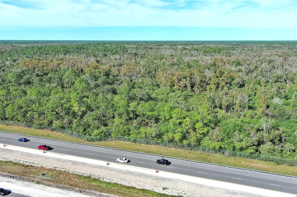 Alligator Alley Naples, FL 34117
