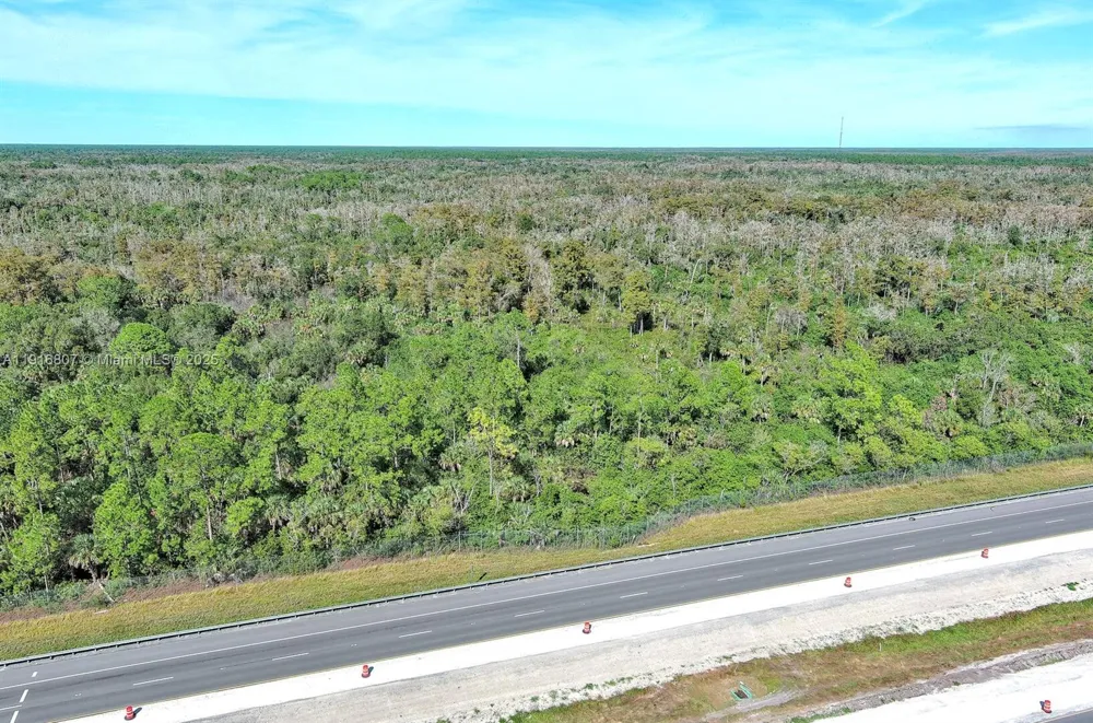 Alligator Alley Naples, FL 34117